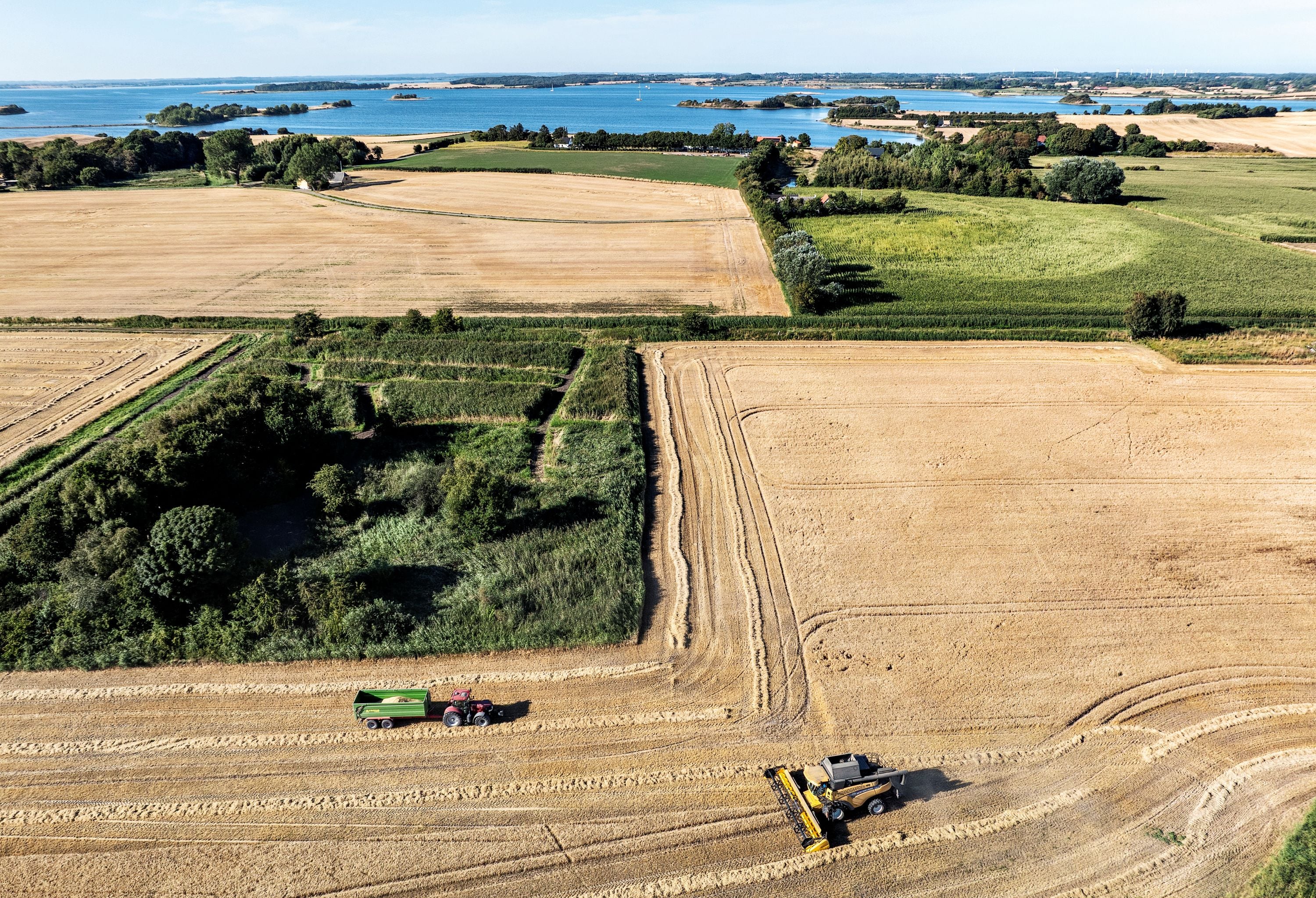A landscape with a combine harvester and a tractor.